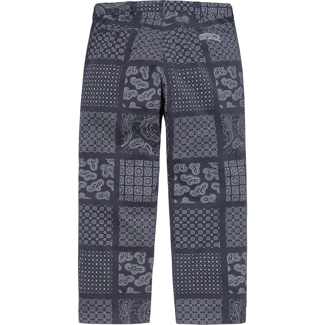 Paisley Grid Chino Pant view 13